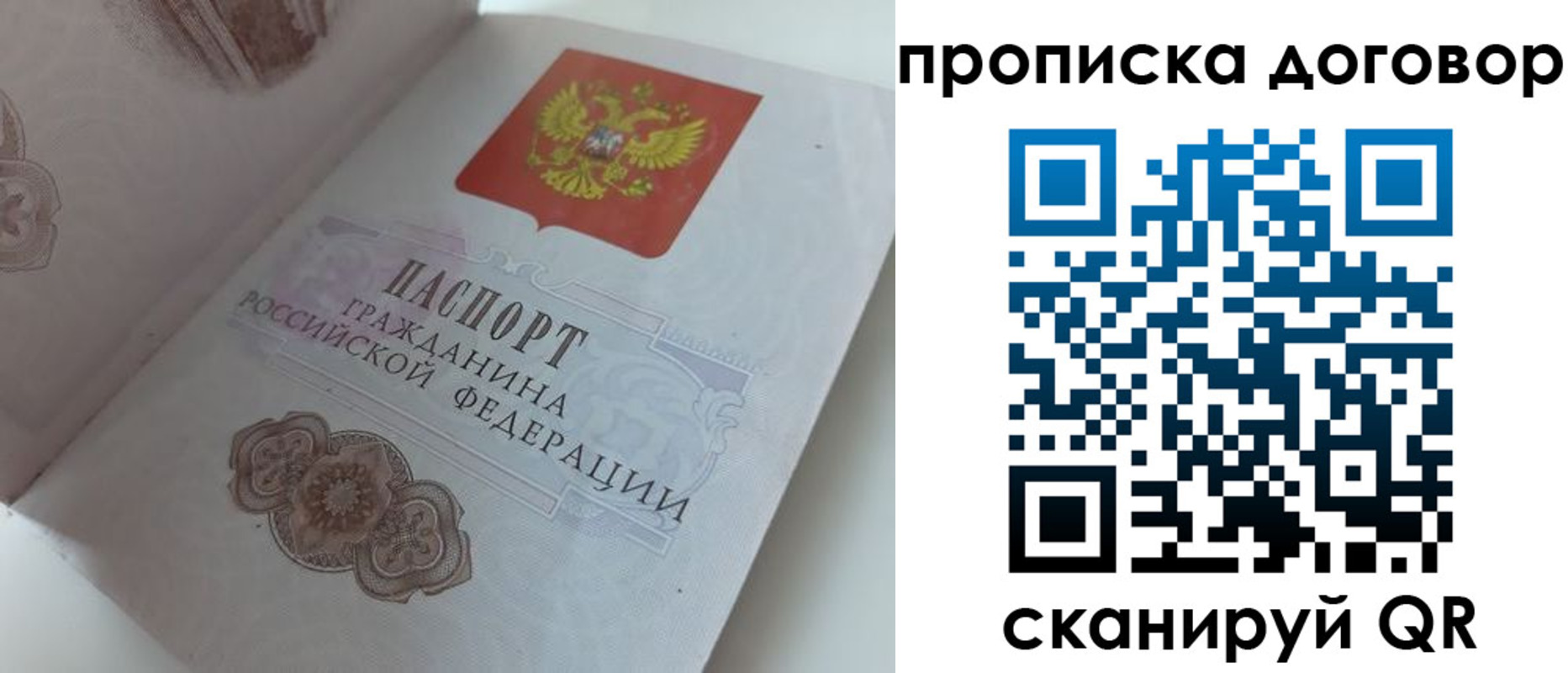 прописка поиск в Боровичах
